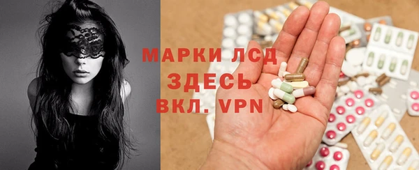 PSILOCYBIN Алзамай