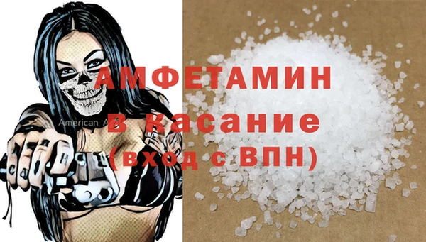 PSILOCYBIN Алзамай