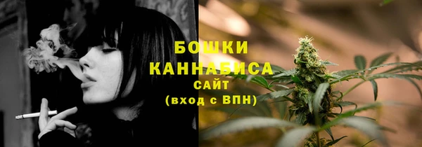 PSILOCYBIN Алзамай