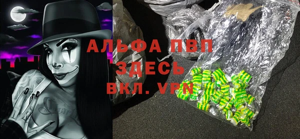 PSILOCYBIN Алзамай