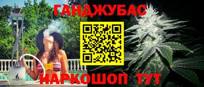 индика Новокубанск
