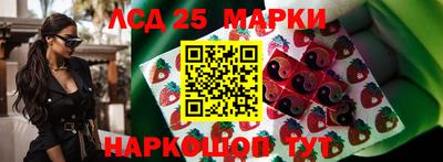 индика Новокубанск