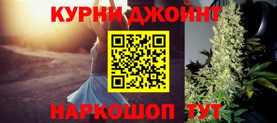 индика Новокубанск