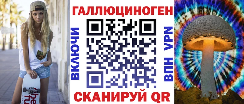 Псилоцибиновые грибы Psilocybine cubensis  Чита 