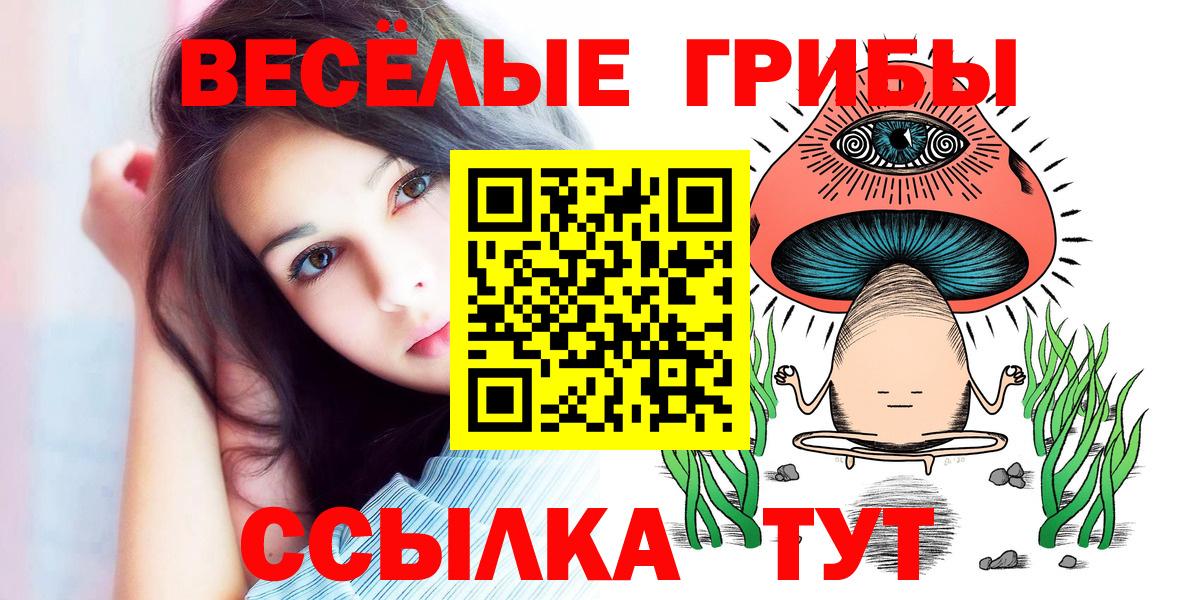 Псилоцибиновые грибы мицелий  Вход с VPN  Чита  Галлюциногенные грибы Magic Shrooms 